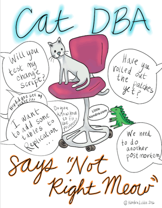 Free Poster: Cat DBA Says "Not Right Meow"