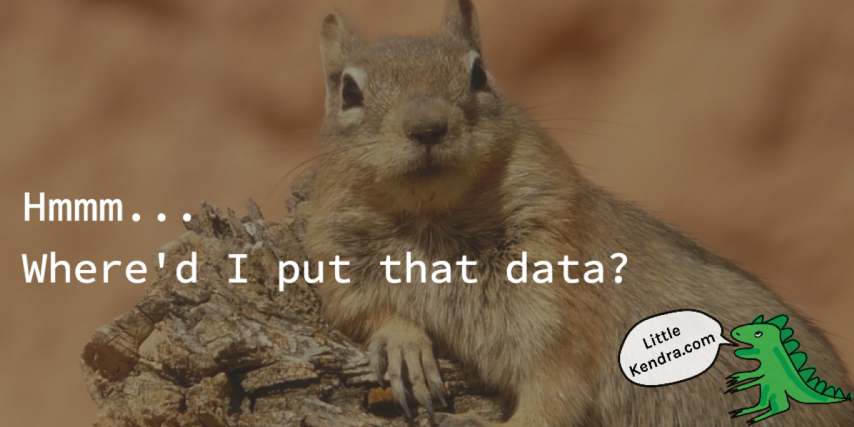 Whered I put that data squirrel