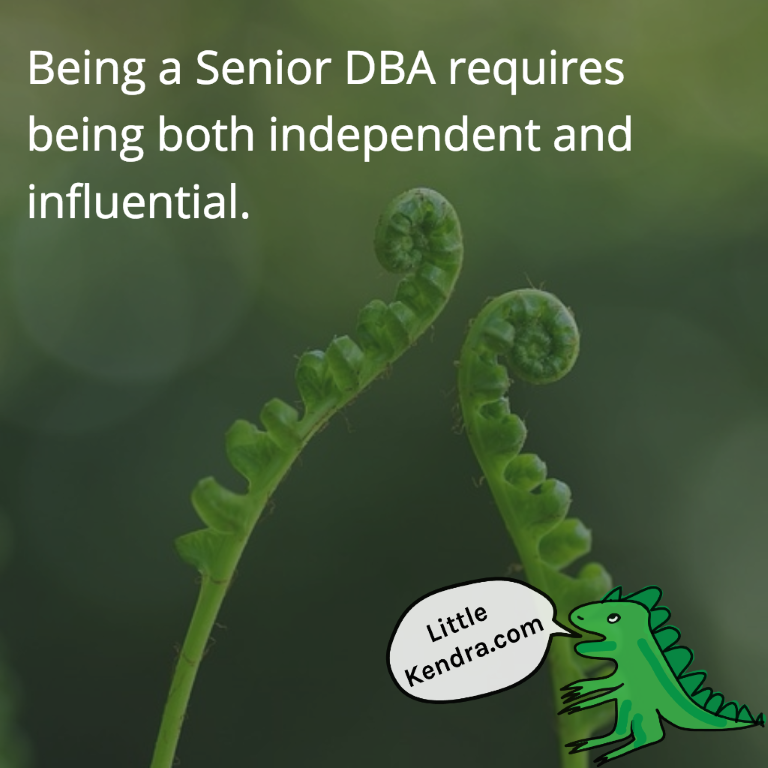 What's the Difference between a Junior and Senior DBA?